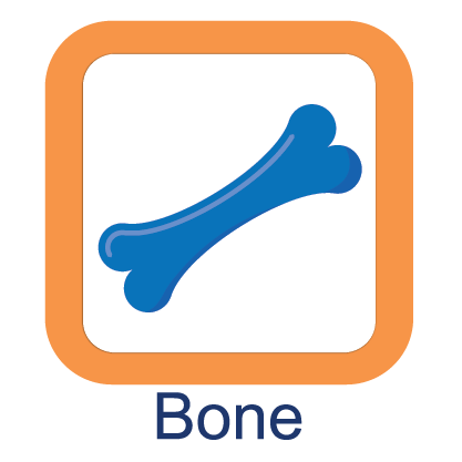 Bone