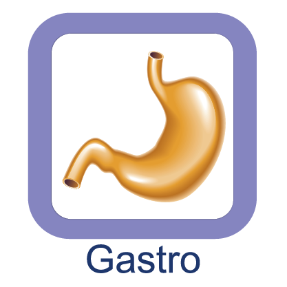 Gastro